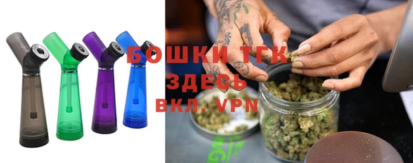 шишки Костерёво
