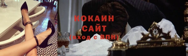 шишки Костерёво