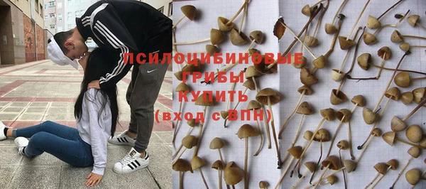 a pvp Коряжма