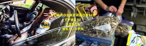 шишки Костерёво