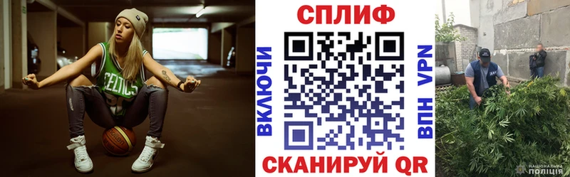 Конопля гибрид  Купить где  Тейково 